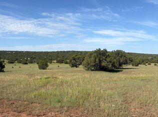 80 County Road 8238, Concho, AZ 85924