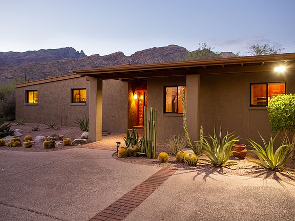 Exquisite Native Plants