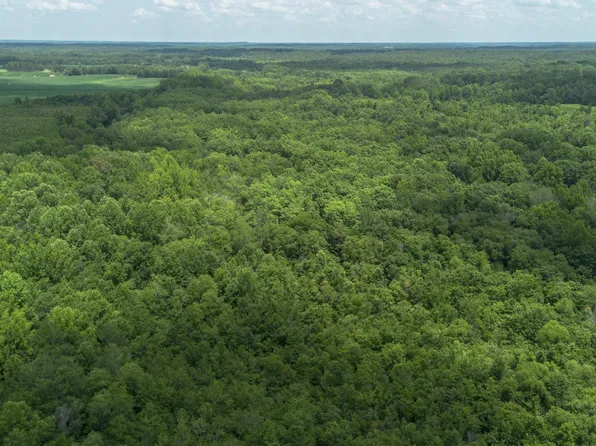 0 Smith Rd, Finger, TN 38334