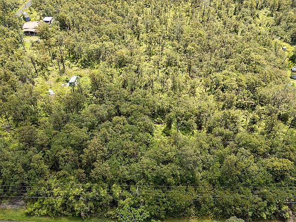 5th image of Hibiscus St Lot 7562