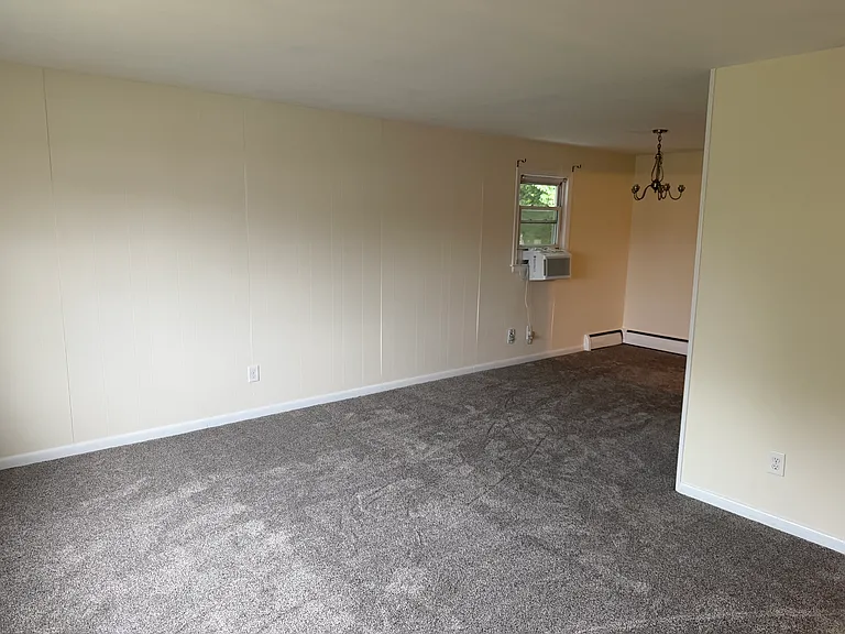 Living/Dining area