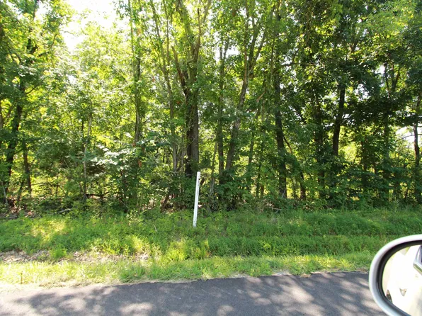 LOT 9 Elkhorn Tavern Rd, Eddyville, KY 42038
