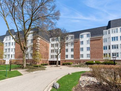 250 Lake Blvd APT 235, Buffalo Grove, IL, 60089