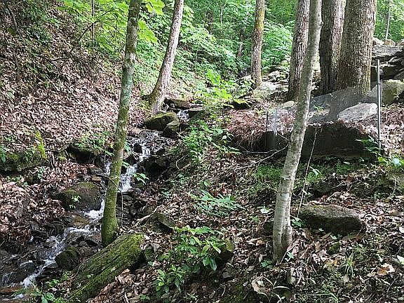stream along driveway