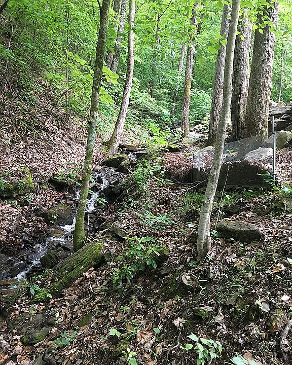 stream along driveway