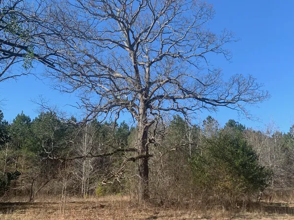 1307 HWY 102, Warthen, GA 31094