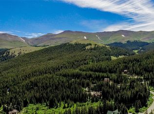 434 Carroll Ln, Breckenridge, CO 80424