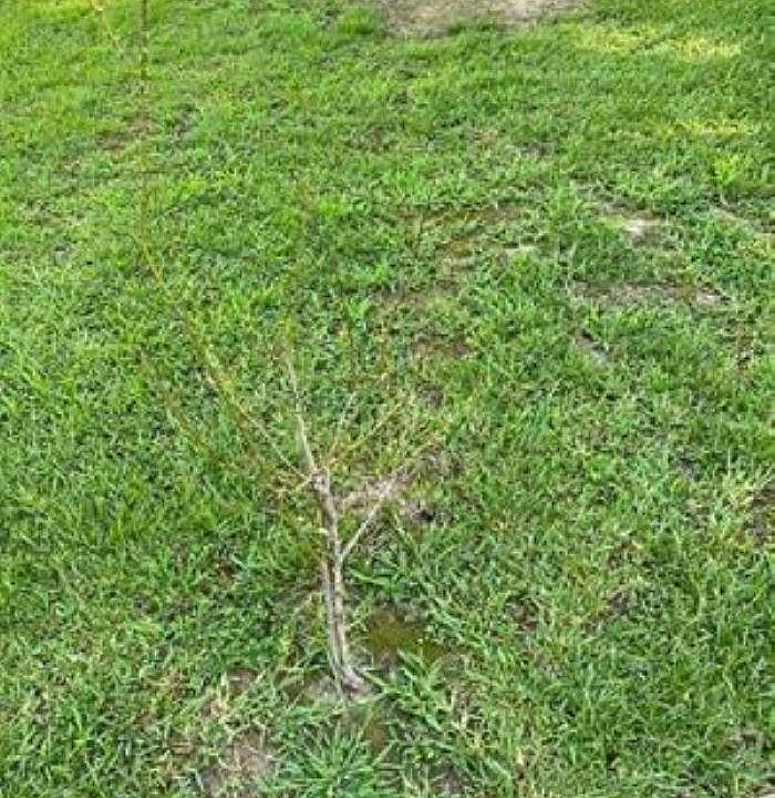 2nd image of (Undisclosed Address)