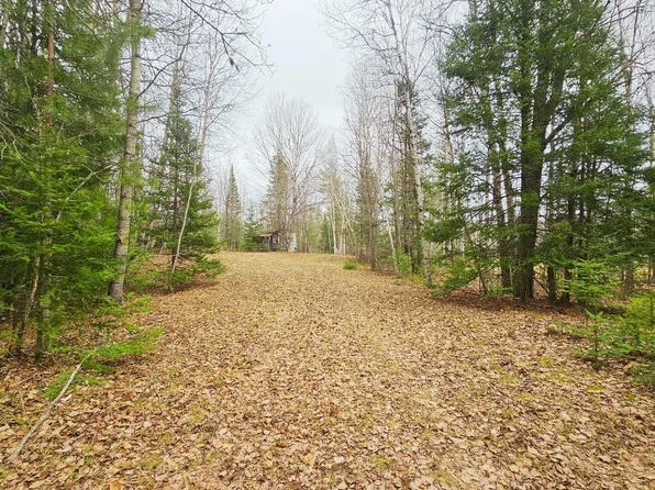 853 Calderwood Rd, Trout Creek, MI 49967