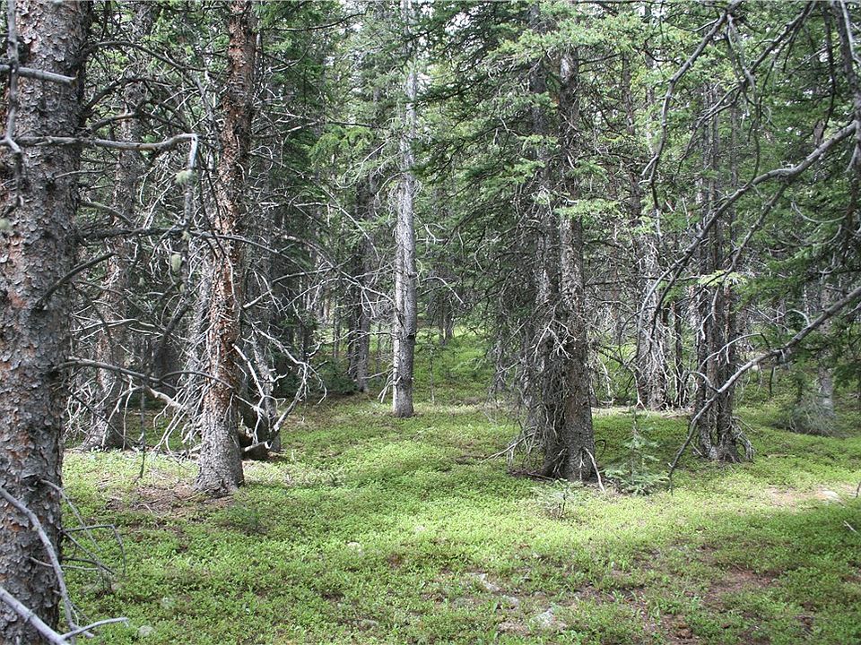 630 Silverheels Pl Fairplay, CO, 80440 Apartments for Rent Zillow