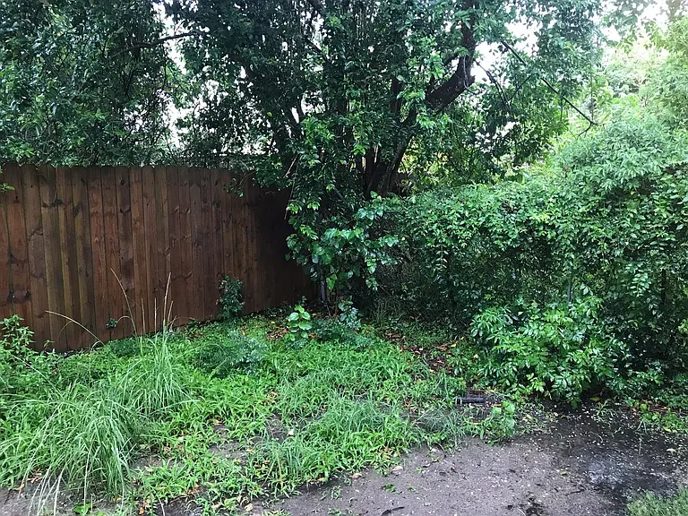 306 Lake Rd — Photo 11