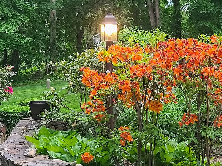 Path to front door