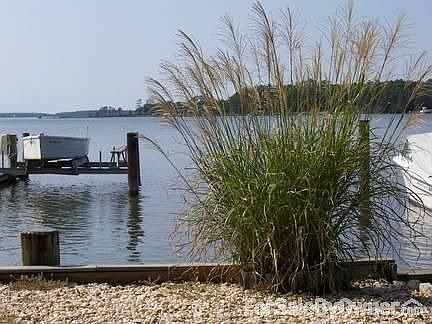 tall grass and boat lift