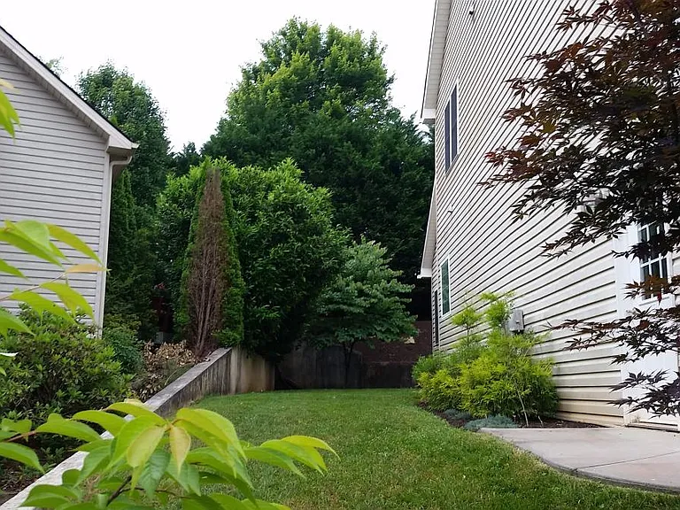 Left side yard view of the house