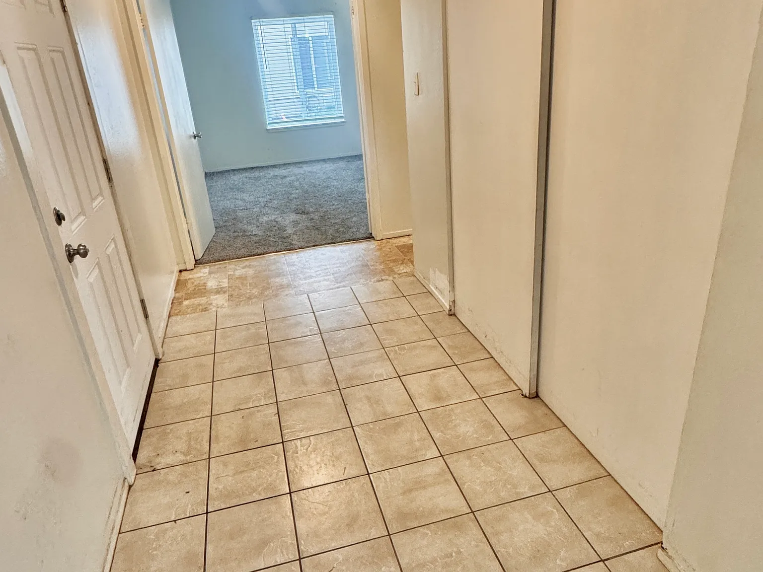 3 bed, 1.5 bath, 1138 sqft, $2,500 — Photo 4