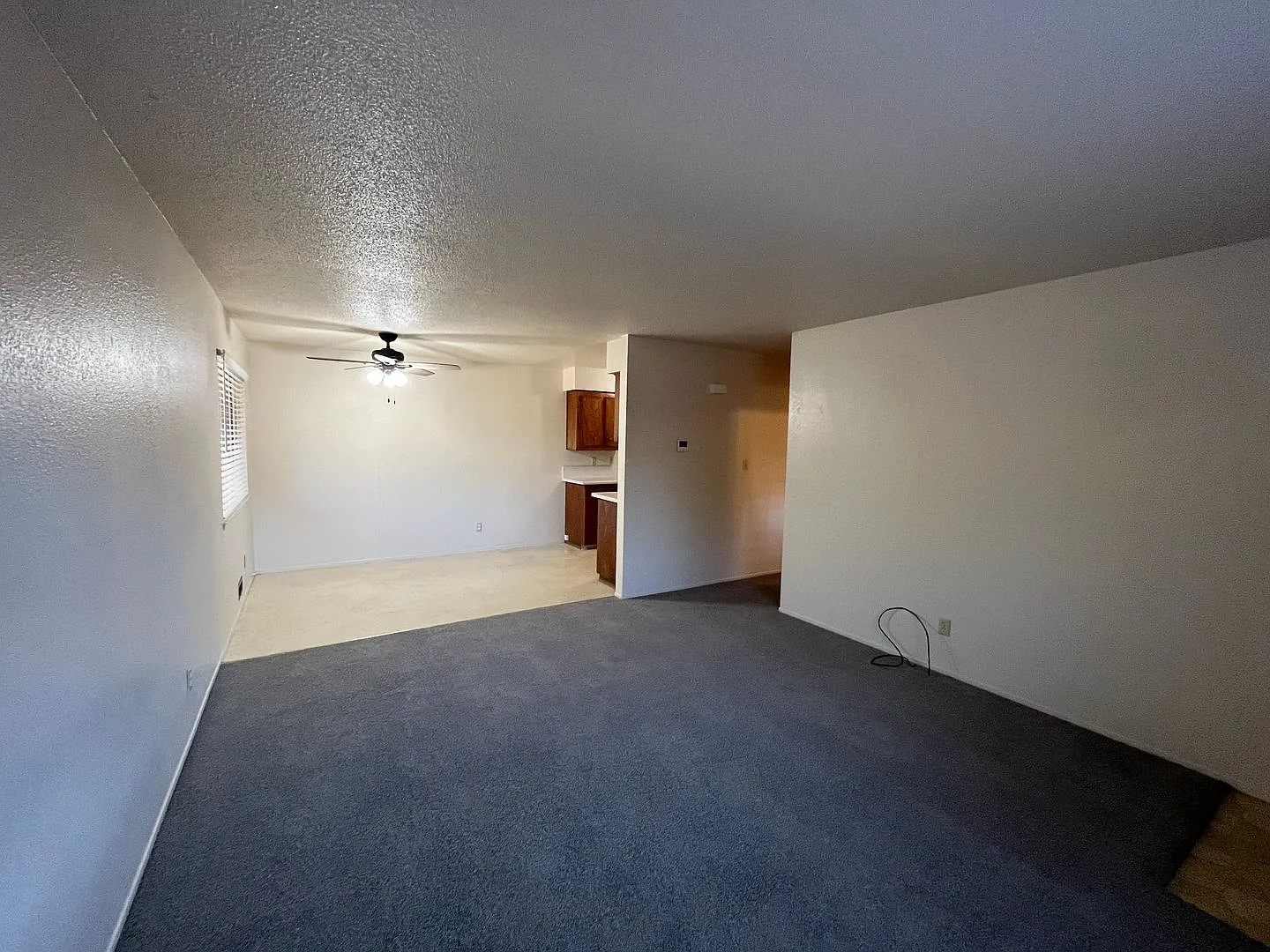 Anderson 1403-1405 — Photo 2
