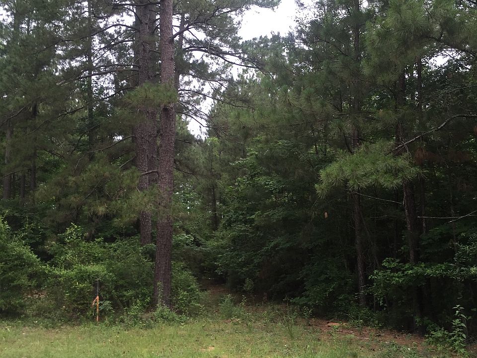 2nd image of Sandy Creek Tract