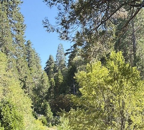 3rd image of 27263 State Highway 189 #3