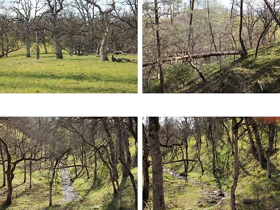 5th image of 11500 Cool Spring Ct