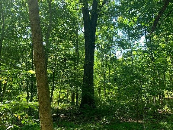 4th image of Ashley Ln #39-43