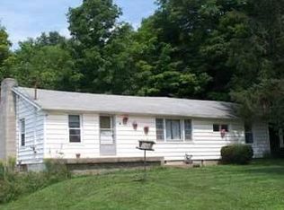 9 Addison St, Arkport, NY 14807