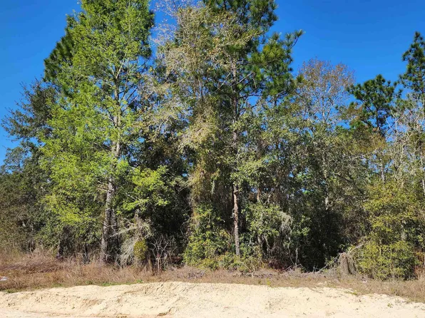 Oak Crest Dr, Interlachen, FL 32148