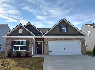 229 Chimney View Loop, Blountville, TN 37617