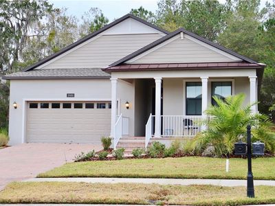 19491 Lily Pond Ct, Brooksville, FL, 34601