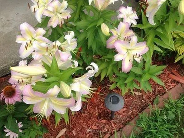 5 Fairview Park Rd Unit 6, Sturbridge, MA 01566