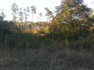 314 Georgetown Denver Rd, Georgetown, FL 32139