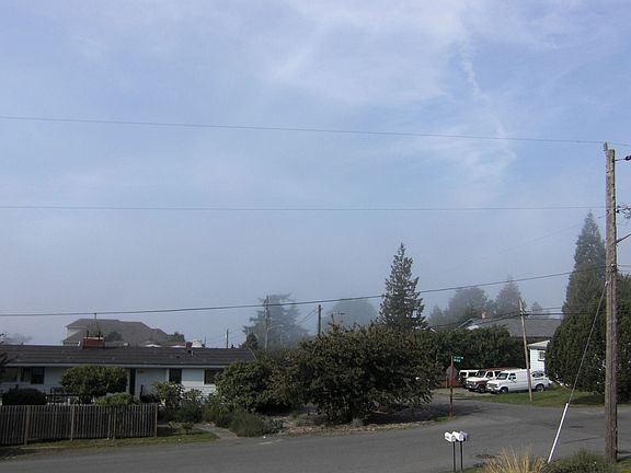 Foggy day- nice view