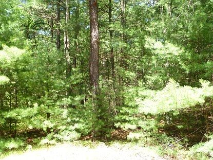 1st image of 7 Old Pine Dr