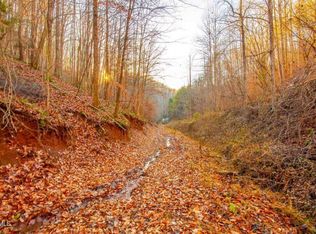 153 Opposum Hollow Rd, Elizabethton, TN 37643