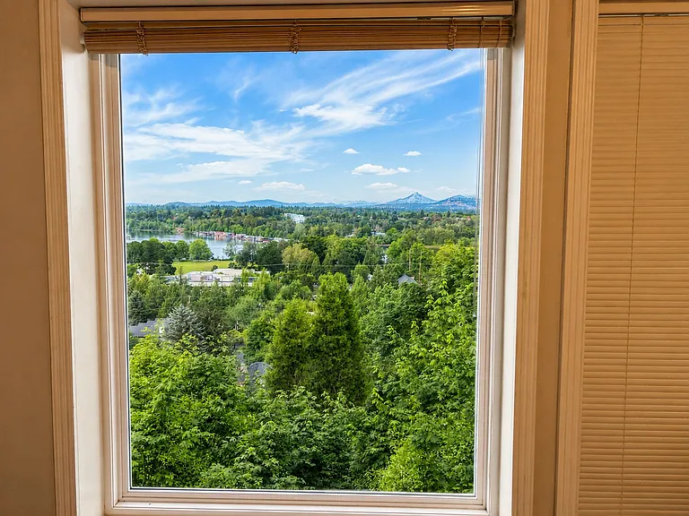 Willamette and Mt Hood from window