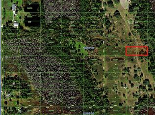 Orlando Pines, Polk City, FL 33868
