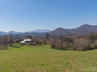 262 Pigeon Ford Rd, Canton, NC 28716