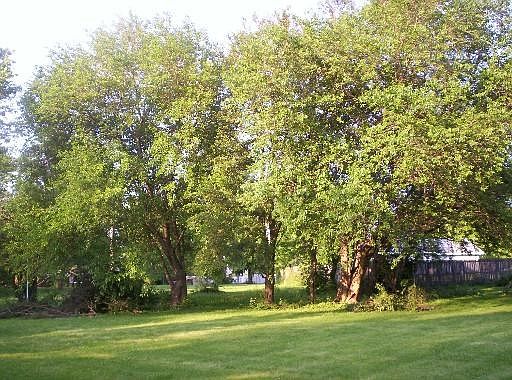 2nd image of 2414 Kellogg St