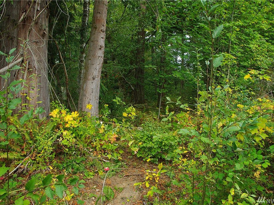 2nd image of 12345 Baby Doll