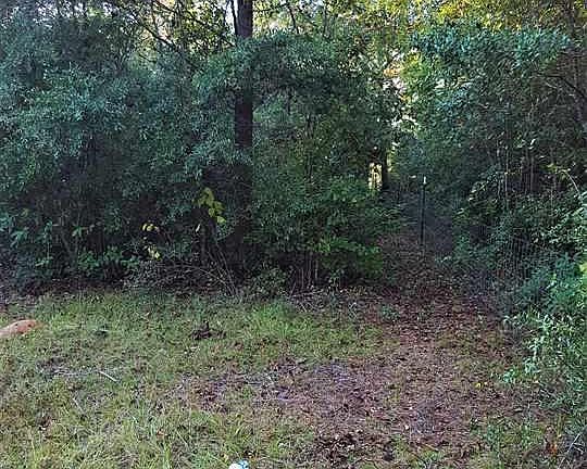 3rd image of 137 Hillmont Ct. Lot 10 - Madison Meadows