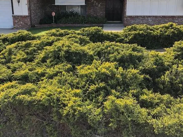 19713 Roth Road, Strathmore, CA 93267