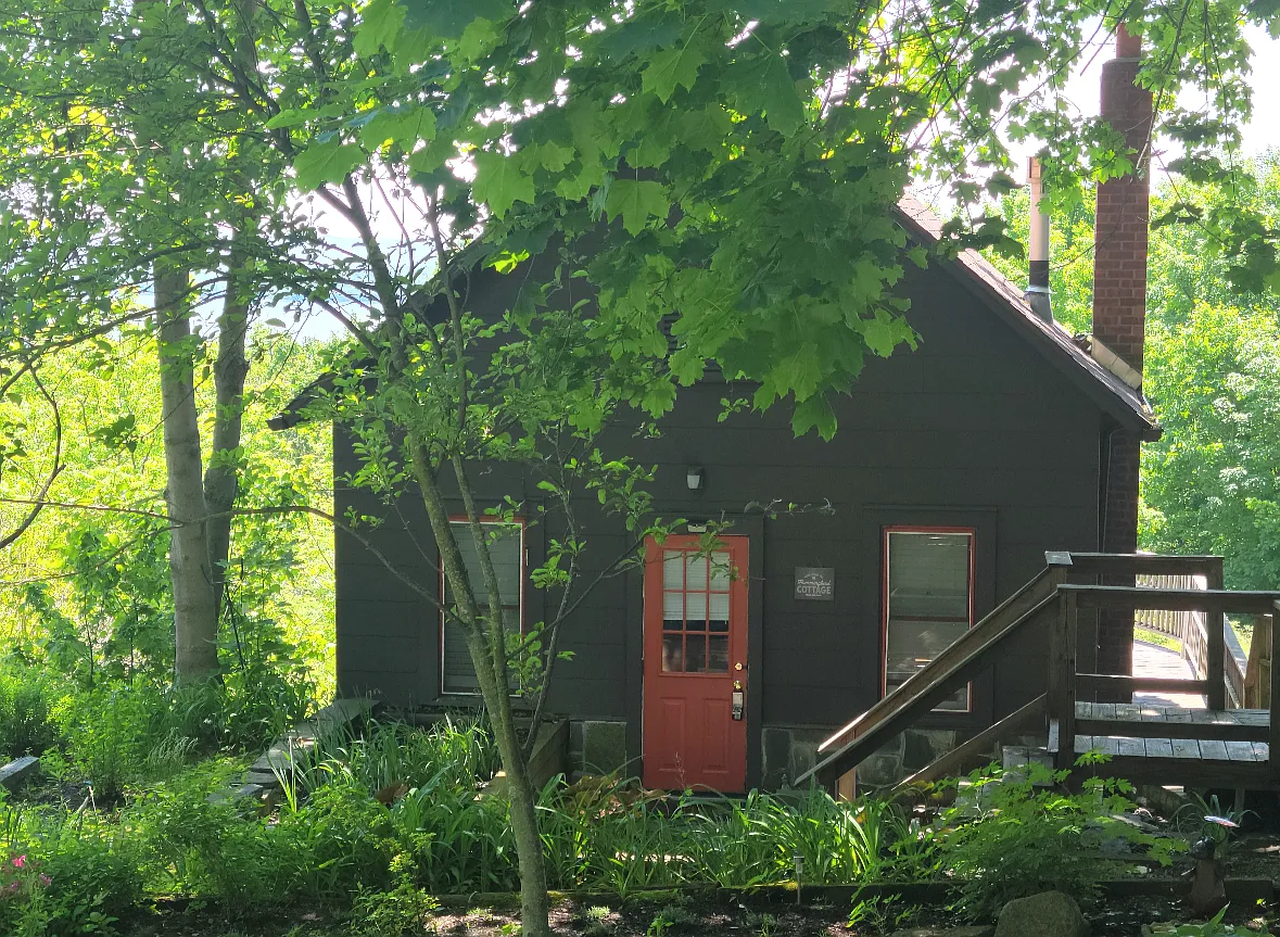 1 bed, 1000 sqft, $2,300 — Photo 2