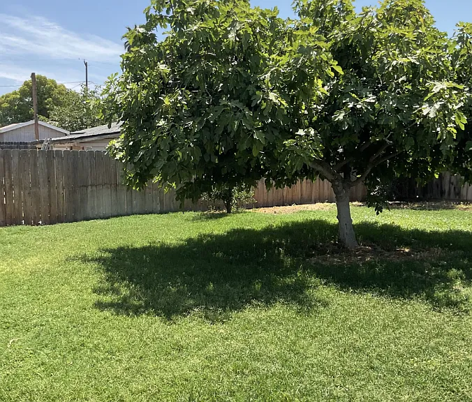 1251 W Davis St — Photo 18