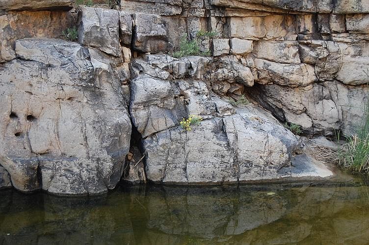 1st image of Tbd Red Creek Springs Road #1