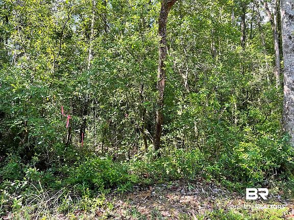 3rd image of 1635 W Quintette Rd