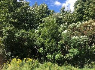 S Thompson Ln, Three Rivers, MI 49093