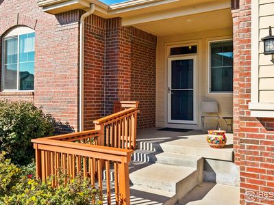 216 Siesta Key Dr, Windsor, CO, 80550
