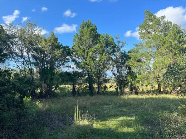 11895 W Timberlane Dr, Homosassa, FL 34448