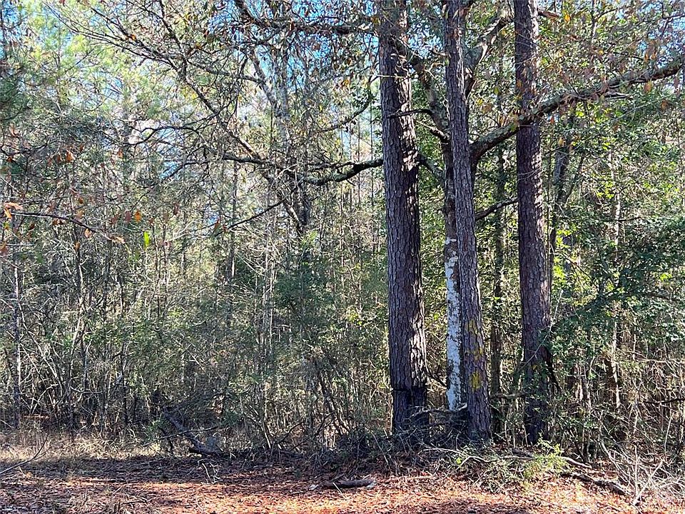 5350 Murphy Oil Rd, Village Mills, TX 77663 MLS 71254255 Zillow