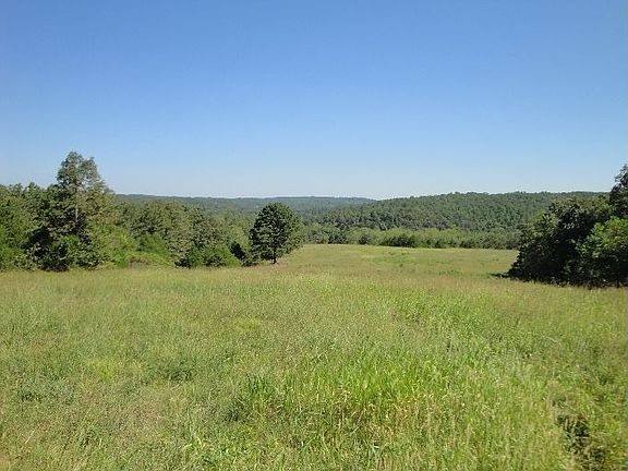 2nd image of 1961 County Road 524
