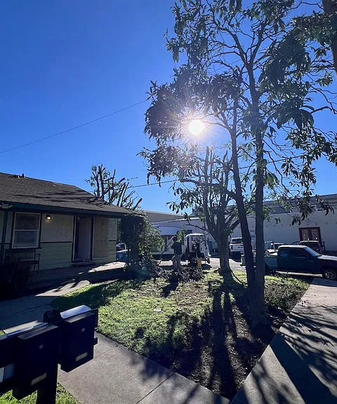 204 Palm Pl #A — Photo 5